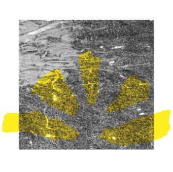Les Furtifs,partition science-fictionnelle pour voix parlées et ensemble instrumental